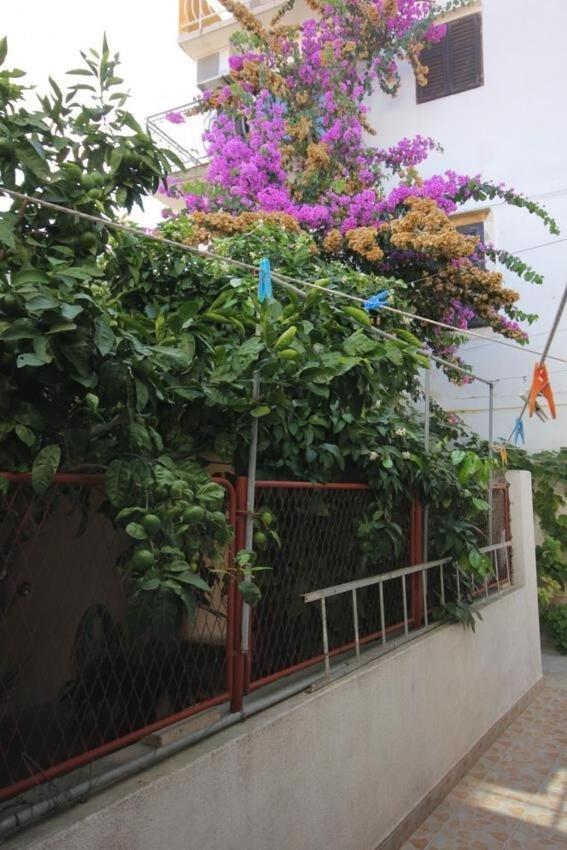Apartments Zoki - Great Location Close To The Sea Vis Exterior foto